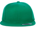 6089M Snapback Green