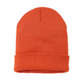 NUTSHELL Knitted Turn-Up Beanie